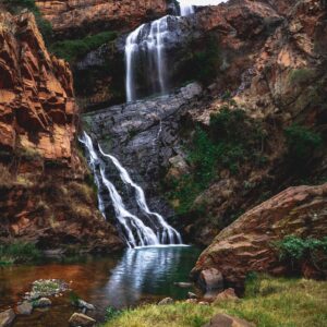 Walter Sisulu National Botanical Gardens & Harties Aerial Cableway Tour